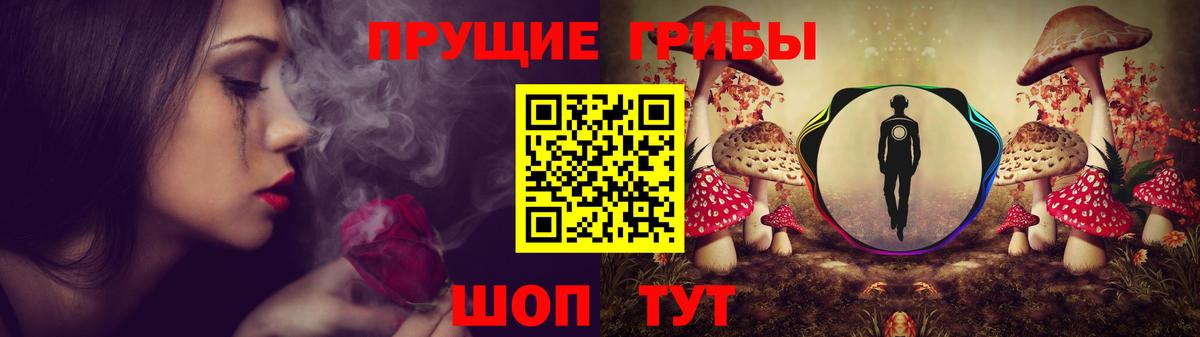 Кудымкар  Галлюциногенные грибы Magic Shrooms  купить наркотики цена  Вход с VPN 